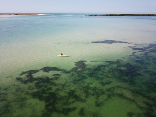 Kayaking and Canoeing: A Comprehensive Guide to Paddling Adventures