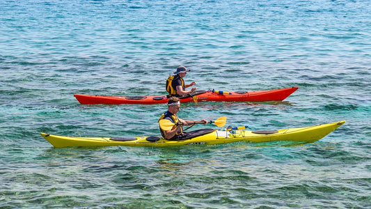 Exploring the Latest Kayaking and Canoeing Trends: Races, Techniques, and Gear for 2024