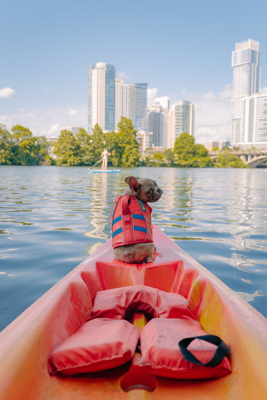 Mastering Kayak Rescues: Essential Techniques for Safety on the Water