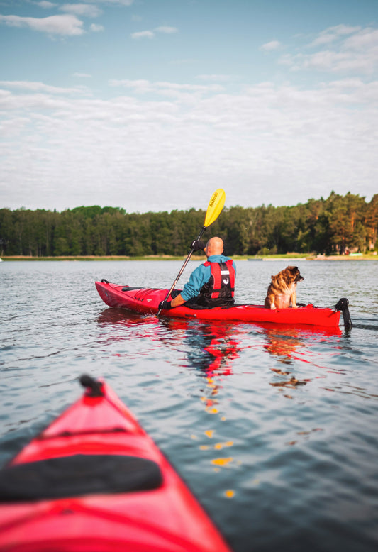The Ultimate Guide to Kayaking: Tips for Transporting, Dressing, and Solo vs. Group Paddling