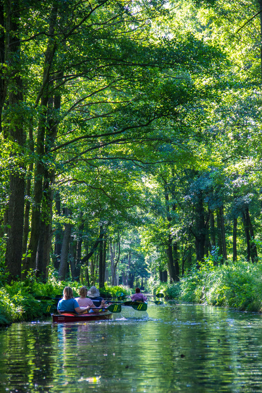 Explore the World of Kayaking: A Comprehensive Guide