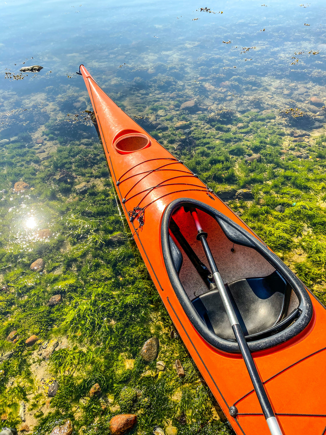 A Beginner's Guide to Kayaking and Canoeing: Exploring the Wonderful World of Paddling