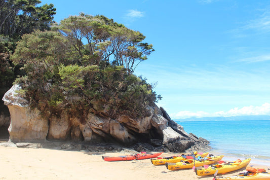 ๐ฃ This Week in Kayaking & Canoeing (June 11โ17, 2025): Events, Races, and Skills You Should Know