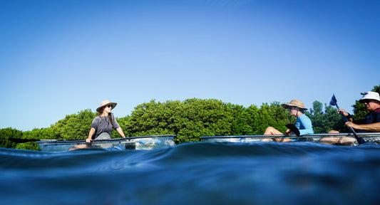 Kayaking and Canoeing 101: A Comprehensive Guide to Safe and Enjoyable Paddling