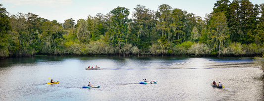 The Beginner's Guide to Kayaking and Canoeing: Paddling Techniques and Tips