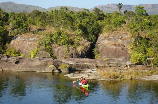 Exploring the Latest Trends in Kayaking and Canoeing: Techniques, Races, and Top Athletes