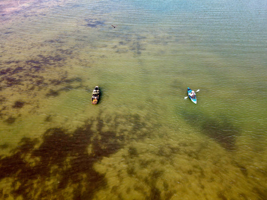 Mastering Kayak Skegs and Rudders: A Guide to Paddling Precision