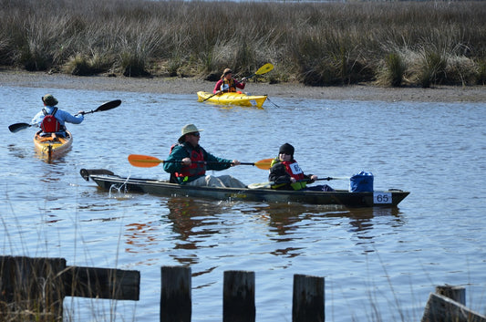 Kayaking and Canoeing Trends and Races: October 2024 Overview