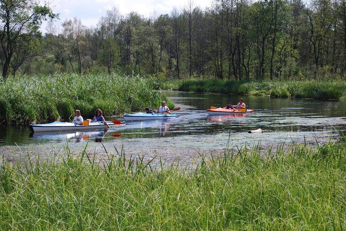 🚣‍♂️ Kayaking and Canoeing in the U.S. This Week (April 21–27, 2025): Events, News & Pro Tips for Every Paddler