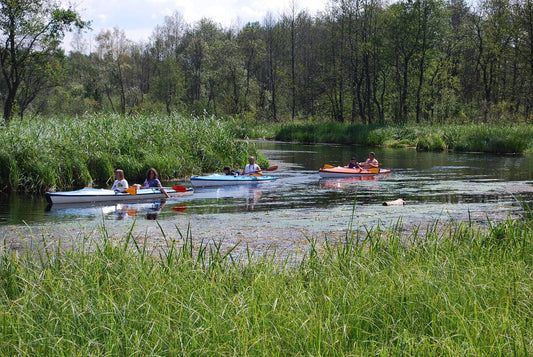 🚣‍♂️ Kayaking and Canoeing in the U.S. This Week (April 21–27, 2025): Events, News & Pro Tips for Every Paddler